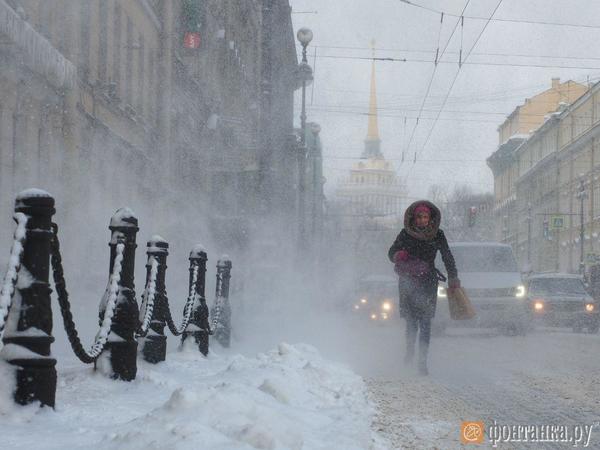 Михаил Огнев/"Фонтанка.ру"